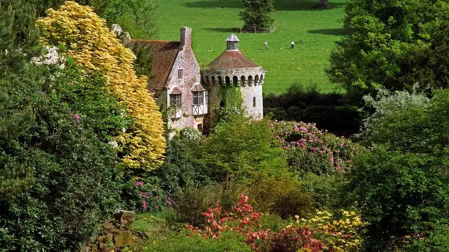 苏格尼城堡,英国,树,花,草 壁纸 - 1920x1080 全高清