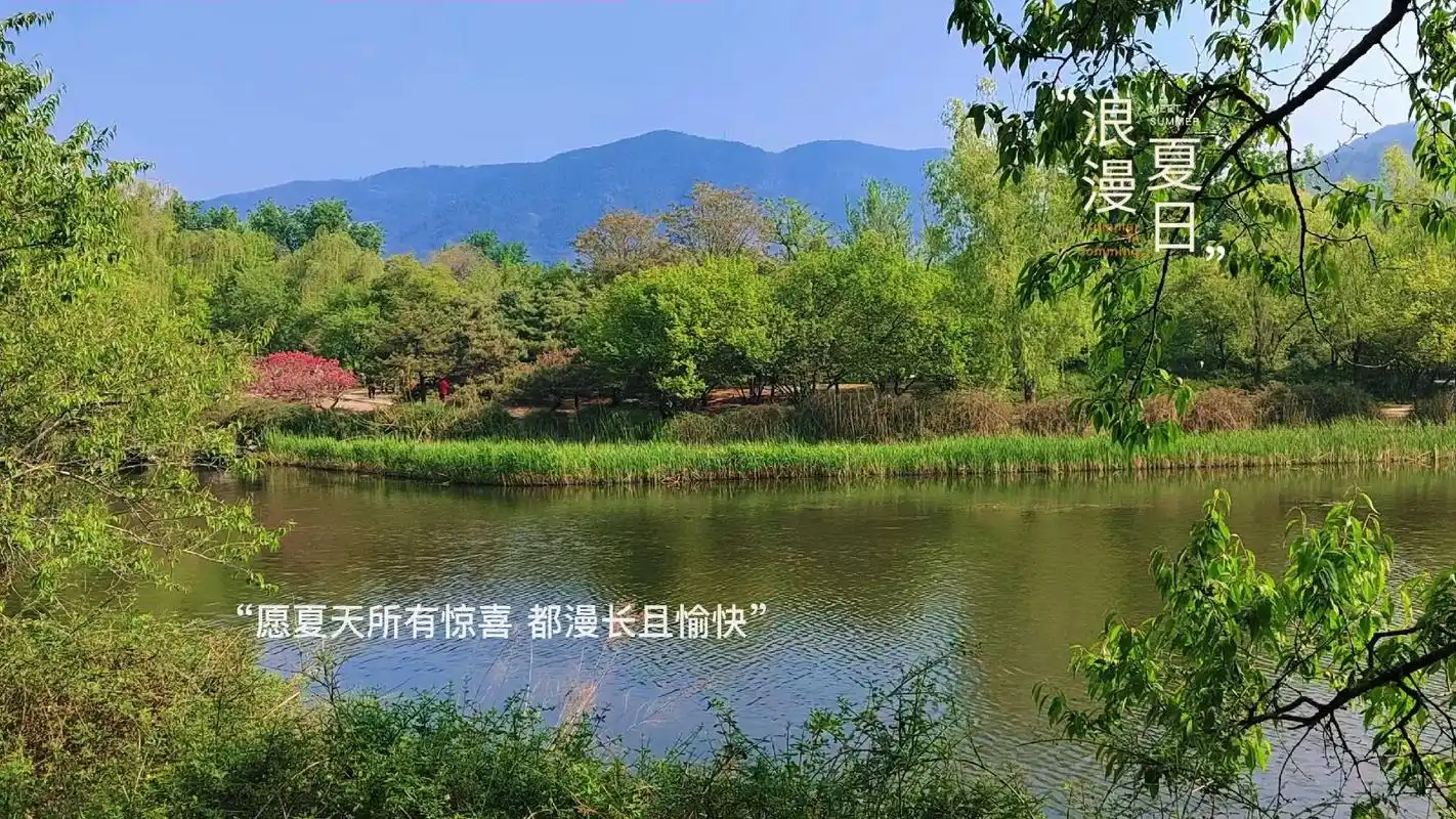 蓝天白云绿草地,感受大自然的气息和美景.