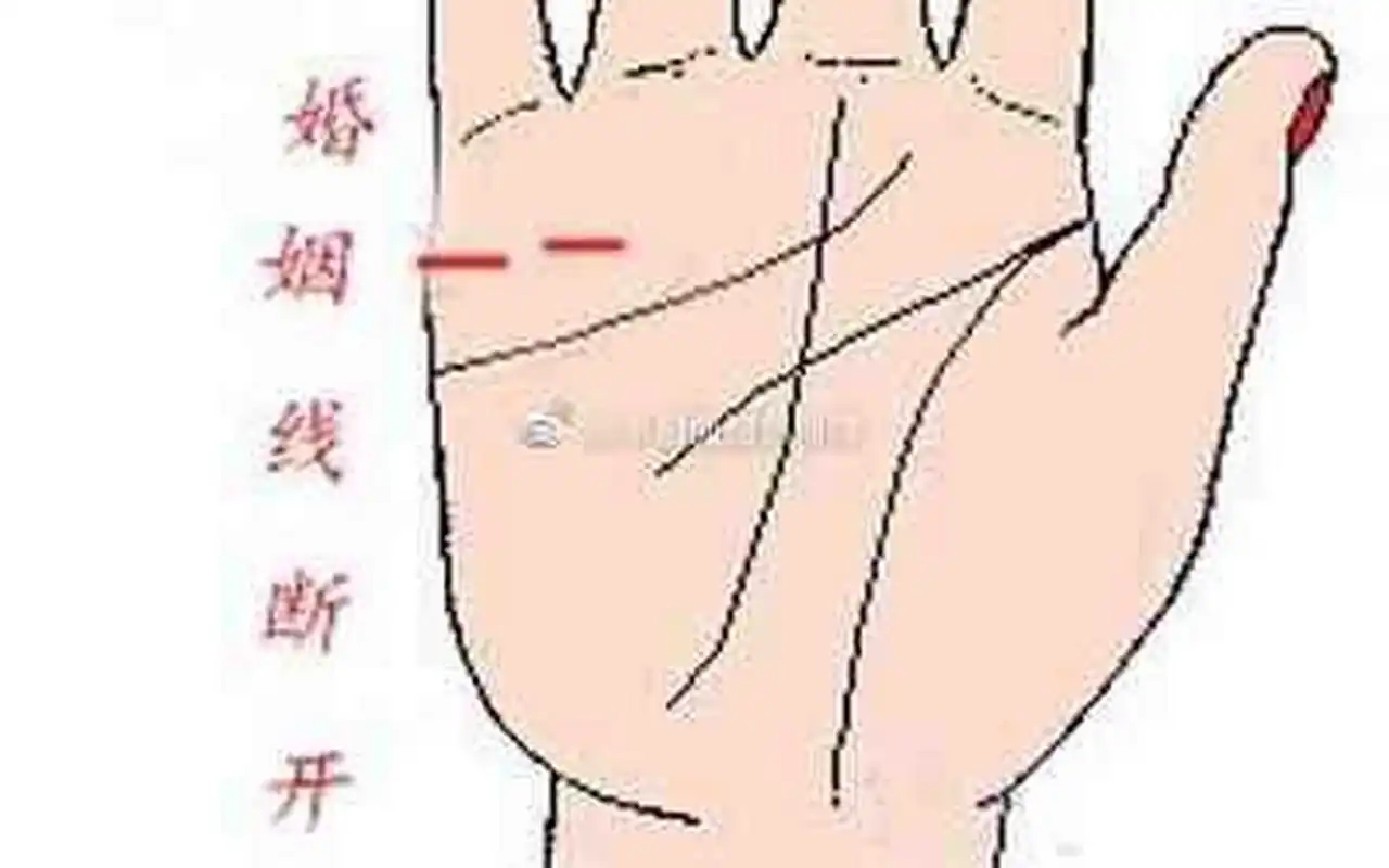 婚姻线中断 我们都知道手相中的婚姻线象征着我们的婚姻.