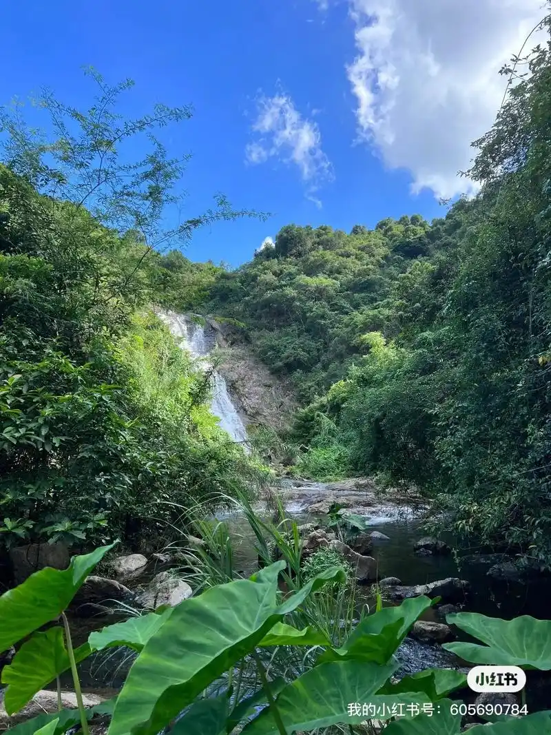 深圳|超大瀑布群90绿野仙踪98.07导航:深圳市马峦山郊野 - 抖音