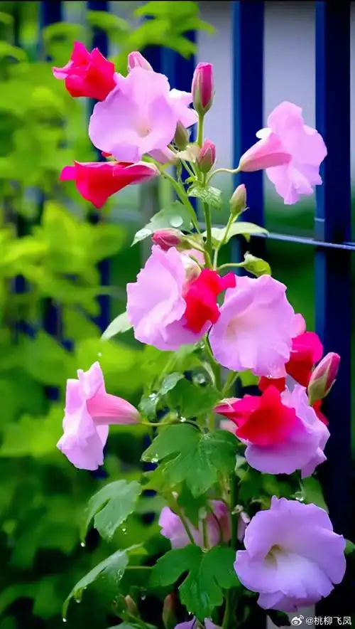 690_1220竖版 竖屏