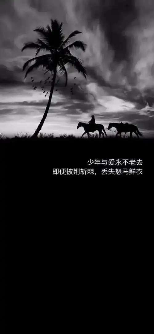 抖音热门壁纸合集