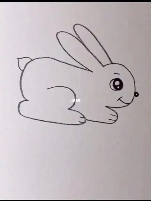 如何画小兔子
