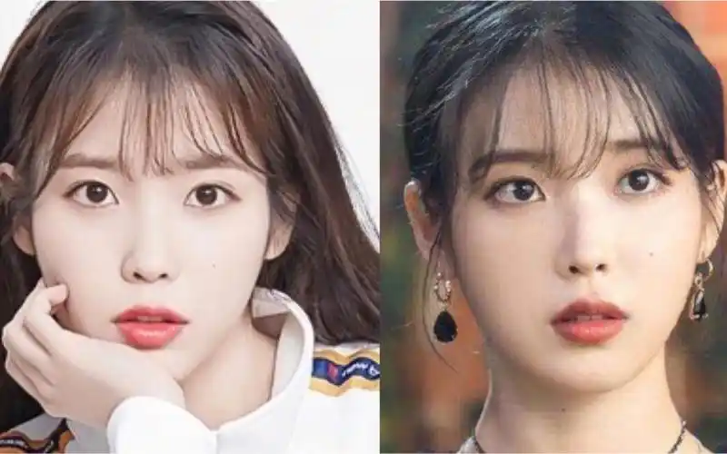 娱乐圈塌鼻梁也能美上天的女明星,我第一个站iu!