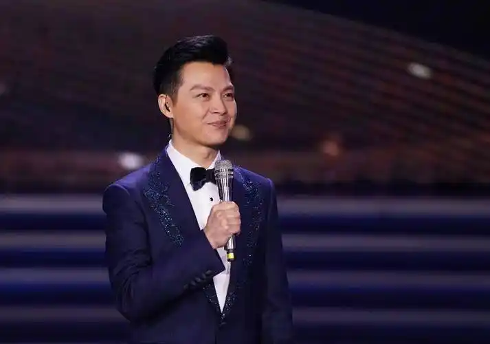 任鲁豫,有新身份_国家_工作_中央纪委