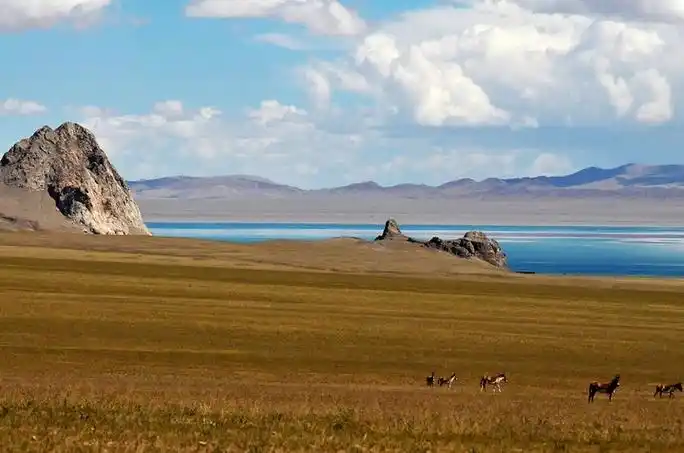 羌塘草原