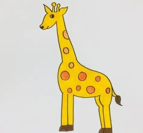 长颈鹿简笔画可爱一步一步教学 长颈鹿简笔画彩色简单