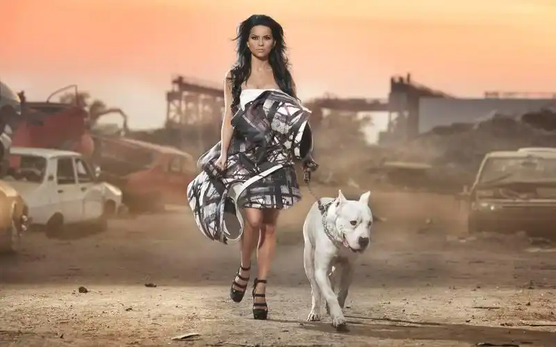 欧美高清晰辣妹女人桌面壁纸