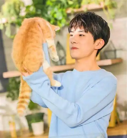 从易烊千玺抱猫的姿势不难看出他是一个十分温柔的人,十分担心猫