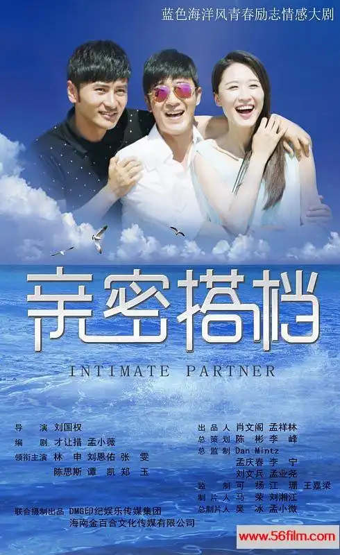 [百度云][中国内地][2016][亲密的搭档][林雨申/张雯][国语中字][全40