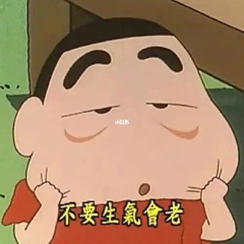 蜡笔小新表情不要生气会老哦
