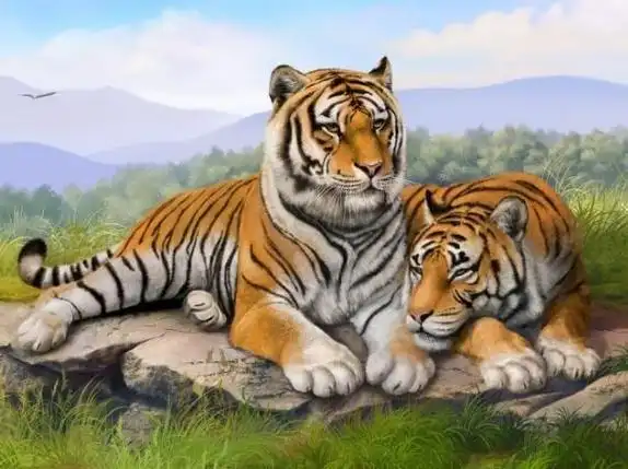 属相虎和属相龙能不能婚配