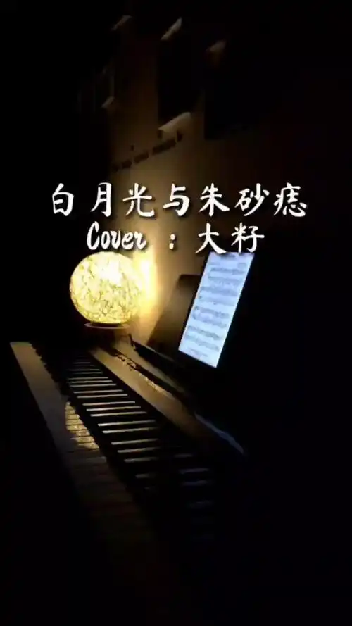 白月光与朱砂痣独奏大籽