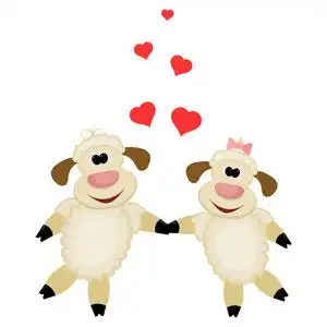 在白色背景上的两个可爱的小羊恋人.照片