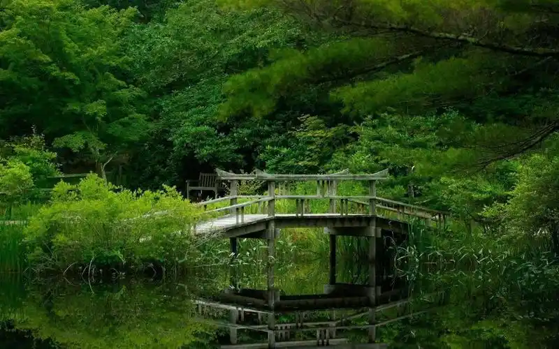 电脑壁纸 风景 高清护眼绿色自然风景湖泊