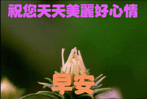 微信早上好新的一天祝福语早上好表情图片