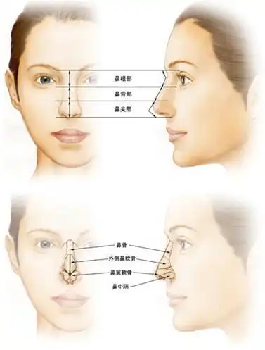 yestar鼻梁整形知识大全