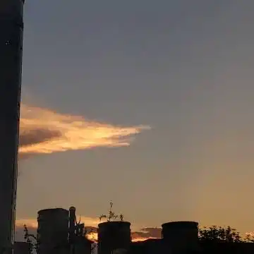 蔡徐坤超话粉丝大咖   关注 g 私信 = 她的主页 她的相册 303 关注