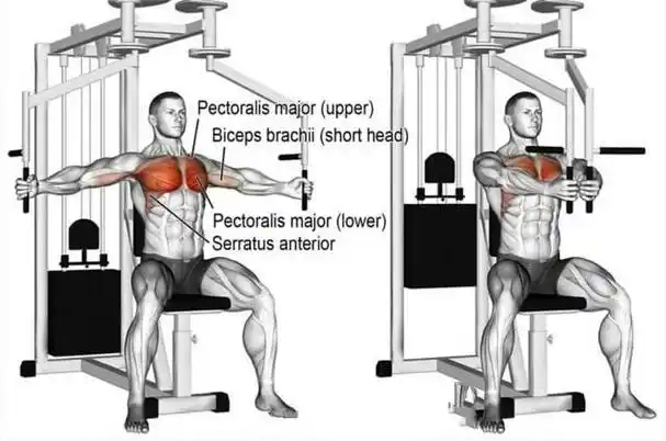 胸部锻炼经典7个动作虐爆整个胸肌练出完美胸大肌