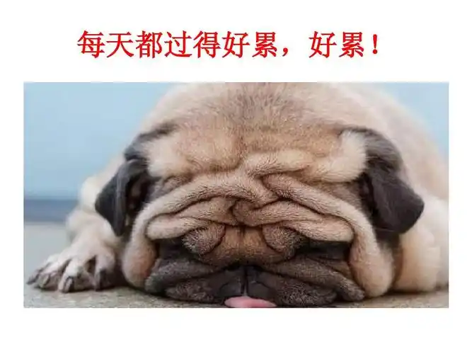 每天都过得好累,好累!