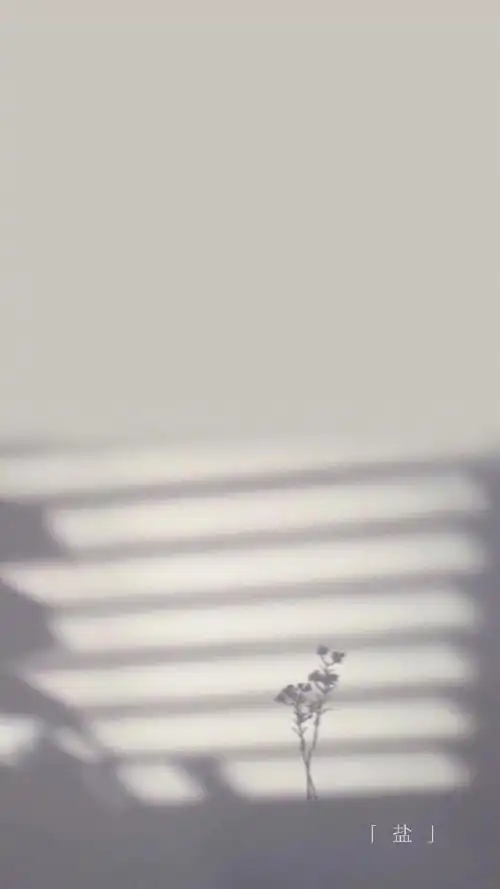 冷淡风清新壁纸