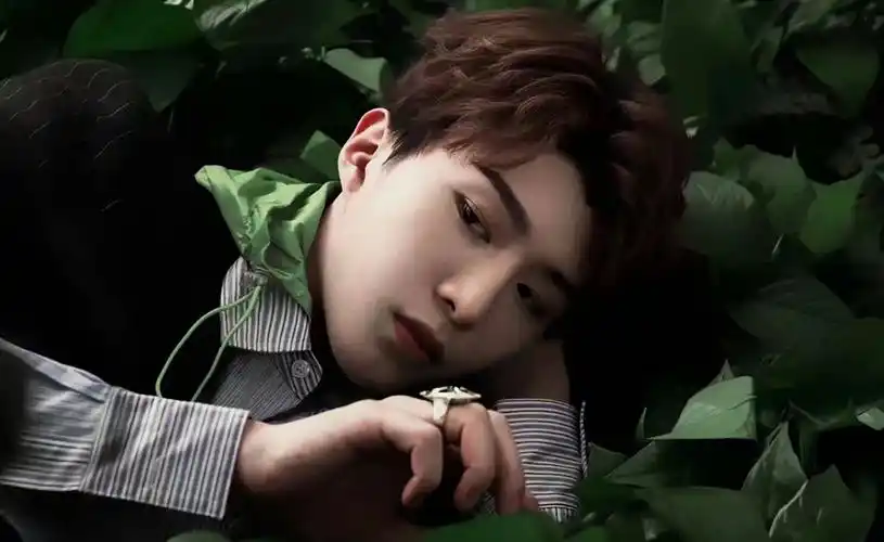 范丞丞 范丞丞 - 堆糖,美图壁纸兴趣社区