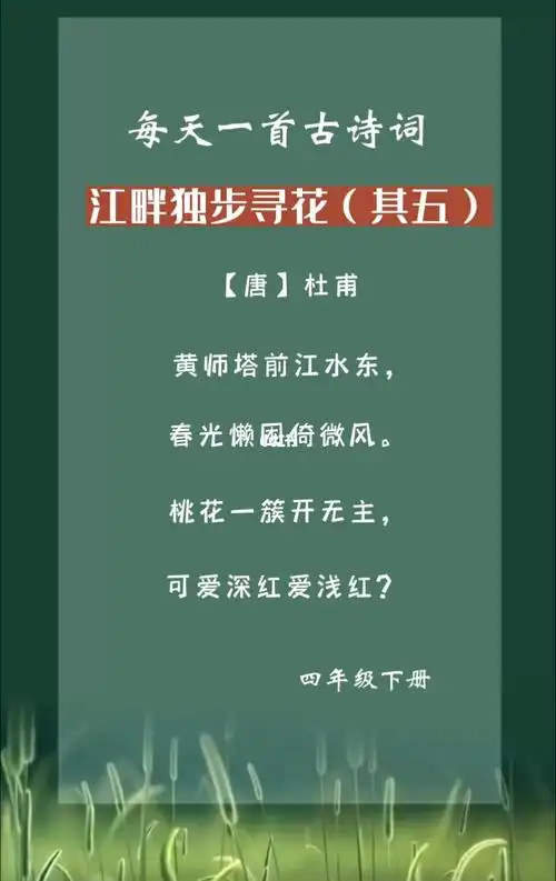 古诗诵读黄师塔前江水东杜甫