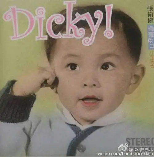 小萌娃来镇个场吧,这是张卫健幼年时期.