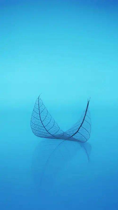 屏保是什么手机屏保和壁纸的区别