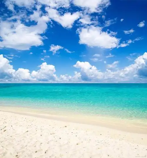 健康是人生的唯一