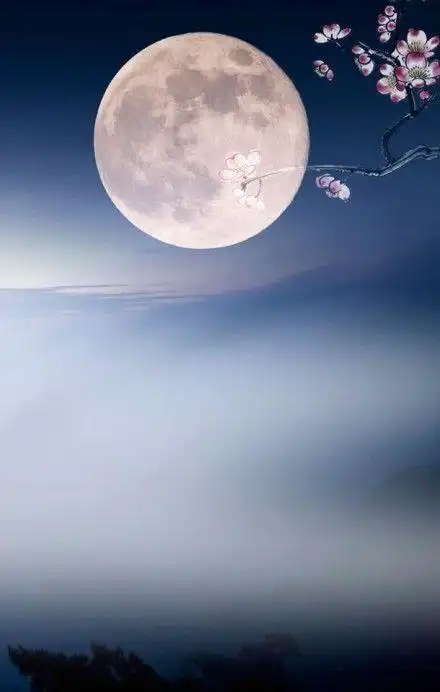 月亮图片大全唯美大图手机夜景照片敢不敢pk一下