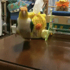 144_144gif 动态图 动图