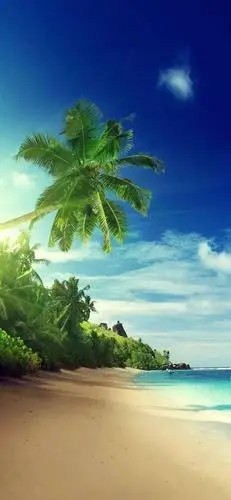 阳光天空大海的微信聊天壁纸