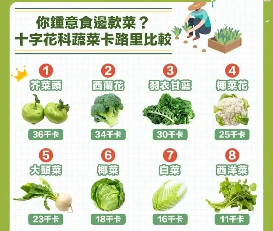 健康100|十字花科蔬菜06 西蘭花,椰菜花,白菜等都