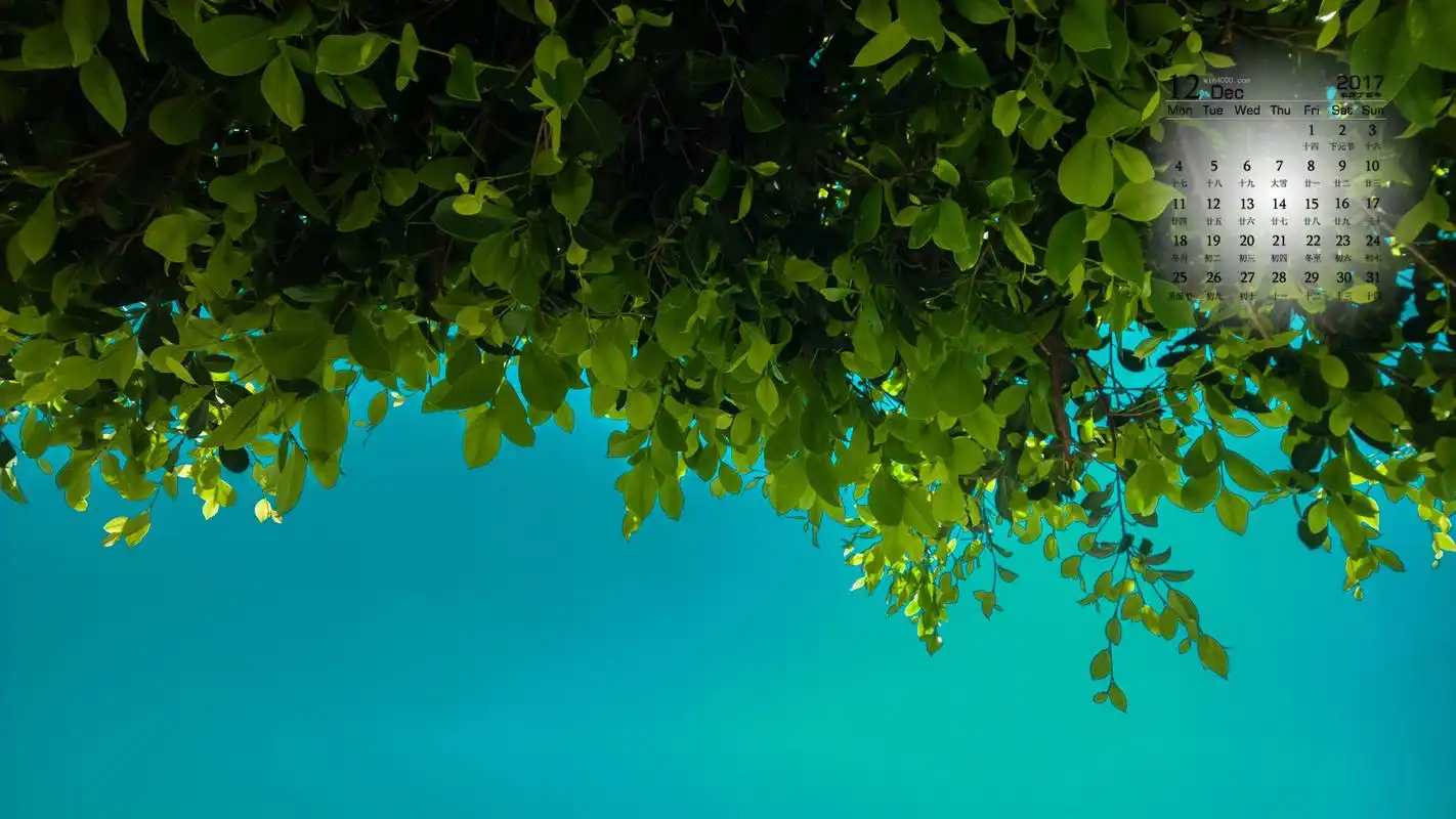2017年12月绿色护眼风景摄影高清日历壁纸