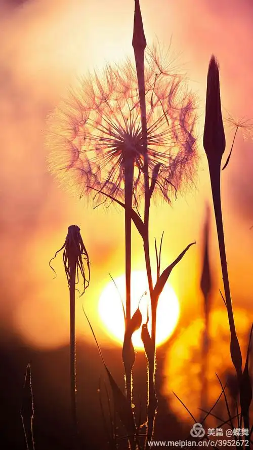 小小的心灵感悟!