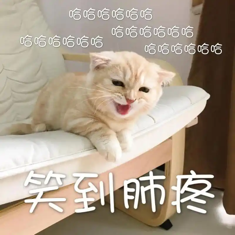 2020上半年朋友圈爆笑动图曝光笑到头掉哈哈哈哈哈哈哈哈哈哈哈哈