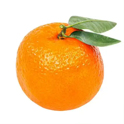 水果头像图片大全2022简约可爱 微信水果头像小清新图片_布阁拉