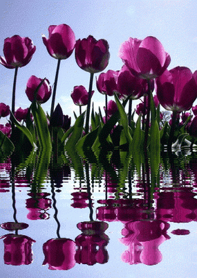 中国大自然风光!