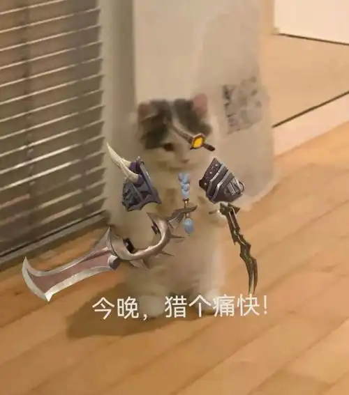 英雄联盟猫猫表情包第四期
