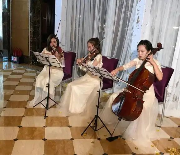 提琴三重奏
