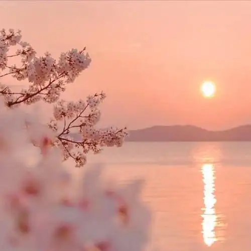 2023新图片简单干净有内涵的照片头像_微信头像_头像屋