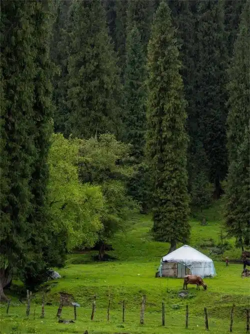 今夏北疆又要爆了!但它才是当之无愧的夏日美景天花板!