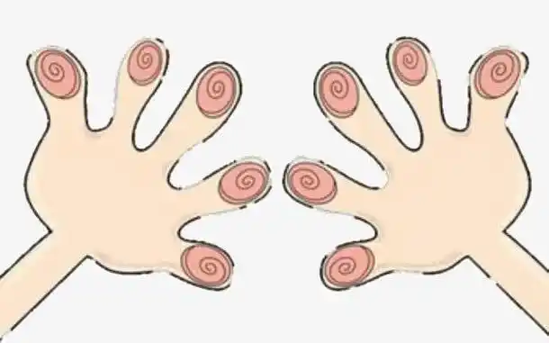 《我认识的动物》