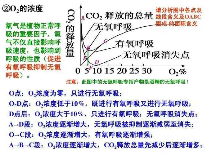 3 atp的主要来源——细胞呼吸(3)endy影响因素等ppt