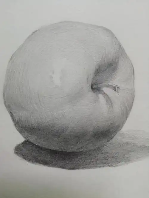 素描苹果临摹