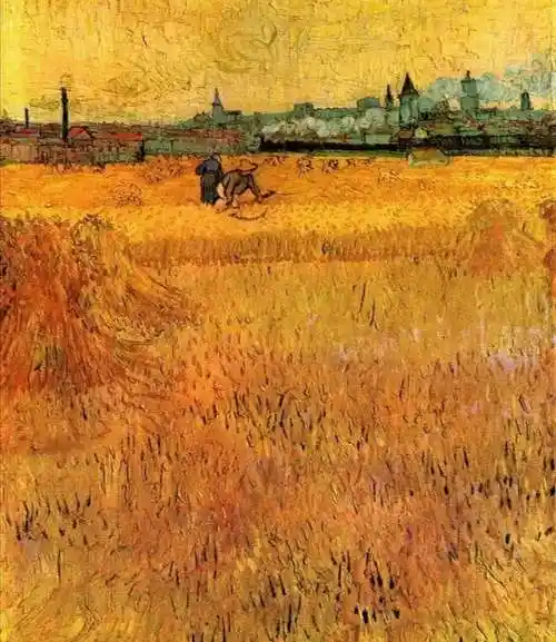 【视觉陕西】陕西西安长安区:魏寨麦田宛如梵高油画再现