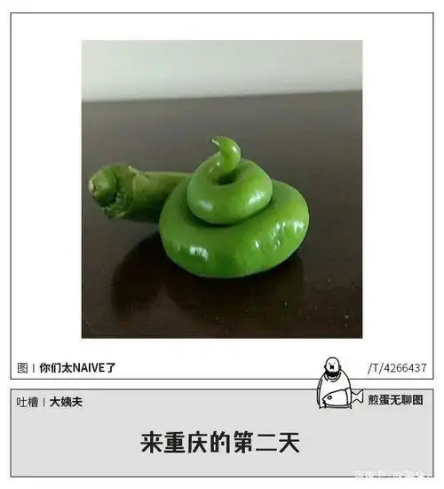 让人笑不停的搞笑图片