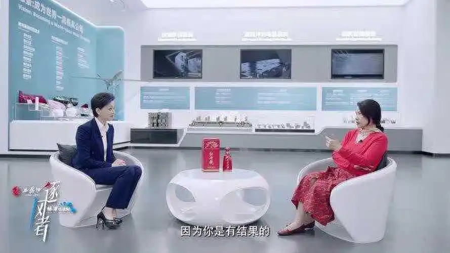 《杨澜访谈录——逐风者》董明珠:我的决策从未错过