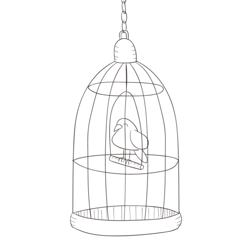 手绘笼子里的鸟图片